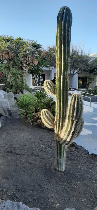 Gartenanlage Relaxia Olivina