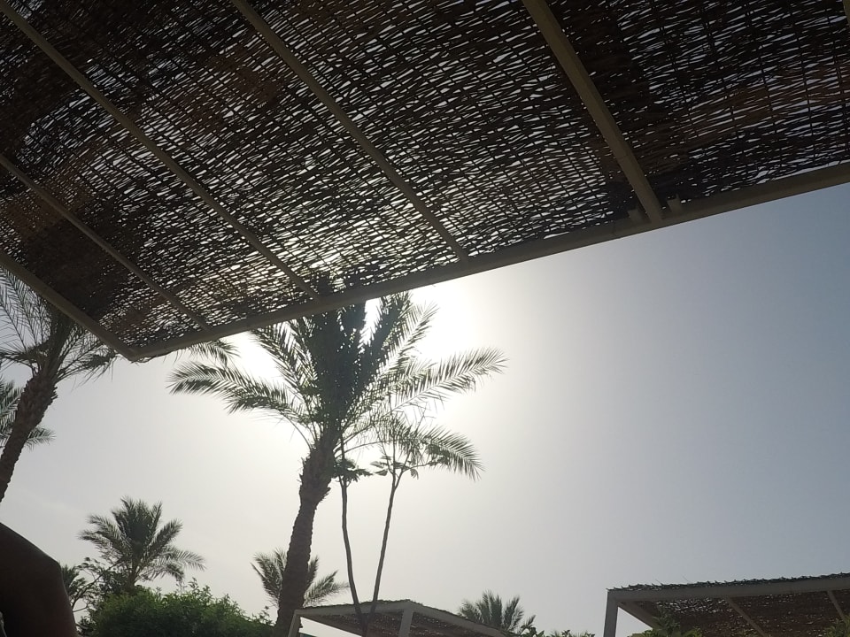 Sonstiges Jaz Aquaviva