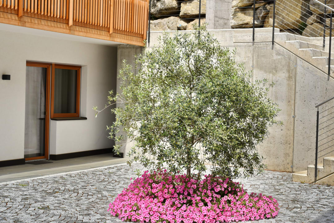 Außenansicht Residence Pension Blumenthalerhof