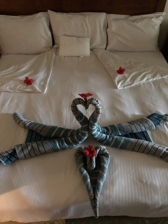 Zimmer Ghazala Gardens