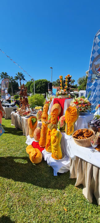 Gartenanlage Alba Queen Hotel