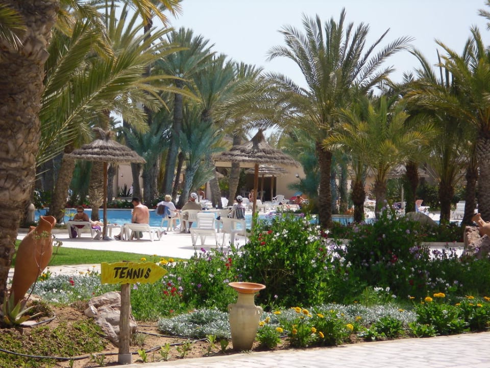 Poolanlage Zita Beach Resort