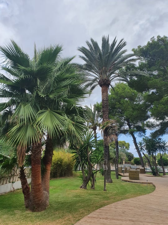 Gartenanlage BG Hotel Rei del Mediterrani Palace