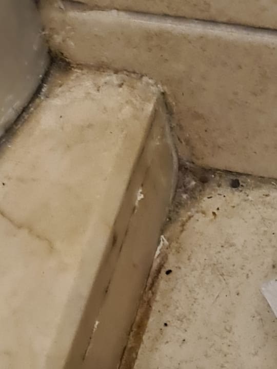 Zimmer Well Palace Side