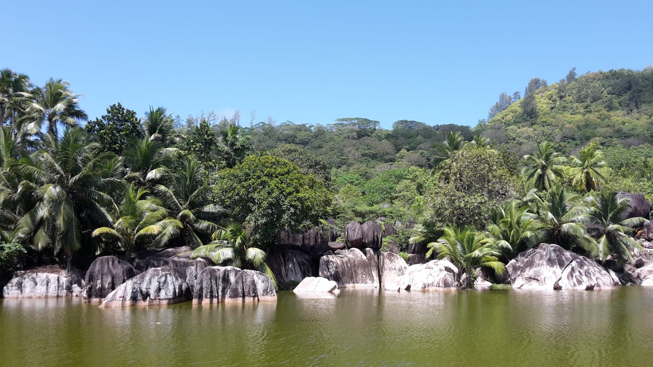 Gartenanlage Kempinski Seychelles Resort