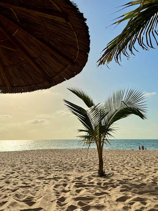 Strand Hotel Riu Baobab - All Inclusive