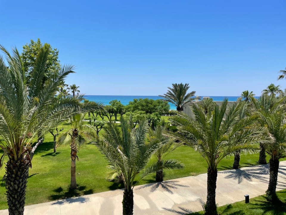Ausblick Paloma Finesse