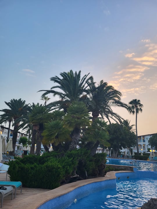 Pool Alcudia Garden Aparthotel