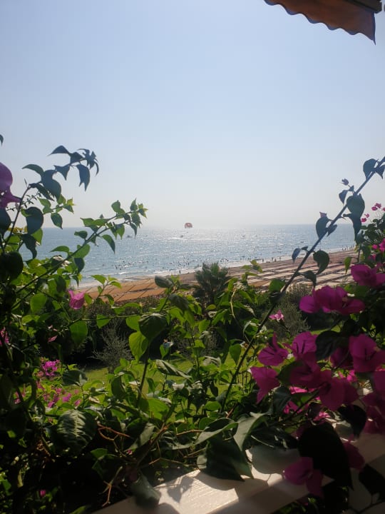 Ausblick Can Garden Resort