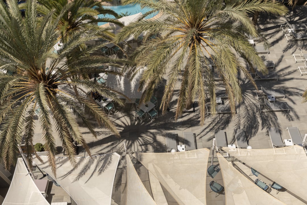 Ausblick Hotel Cosmopolitan