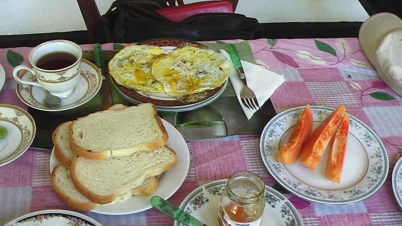 Gastro Sunshine Guesthouse