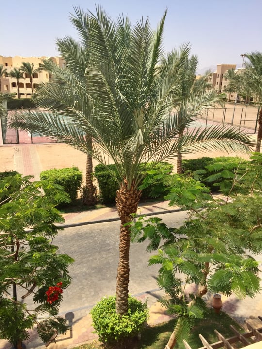 Ausblick Jaz Makadi Saraya Resort