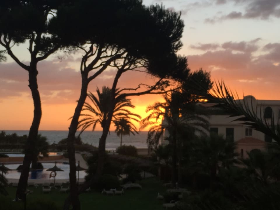 Gartenanlage Grupotel Natura Playa