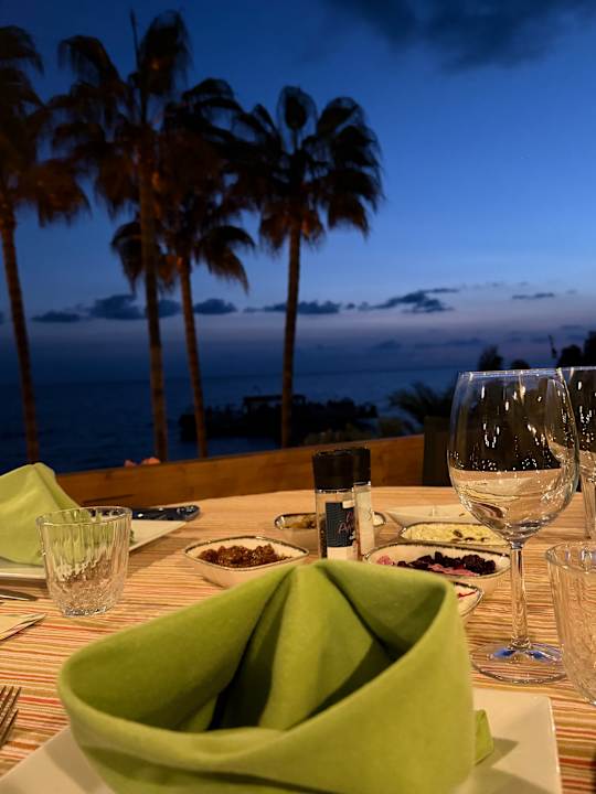 Ausblick Arum Barut Collection