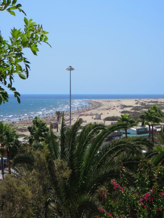 Blick auf den Strand und die Dünen Corallium Dunamar by Lopesan Hotels