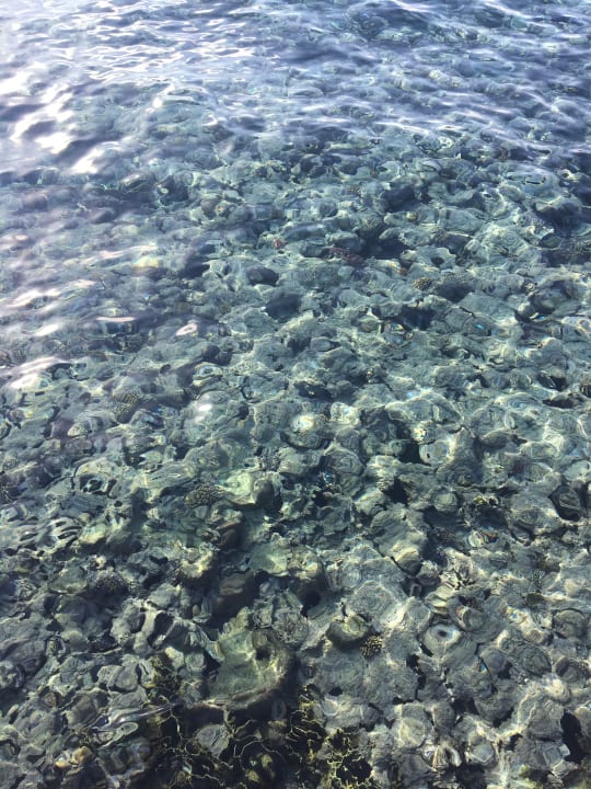 Strand Grand Waterworld Makadi & Family Star Makadi