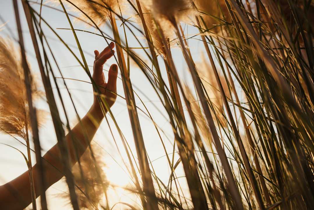 Gartenanlage Cape of Senses