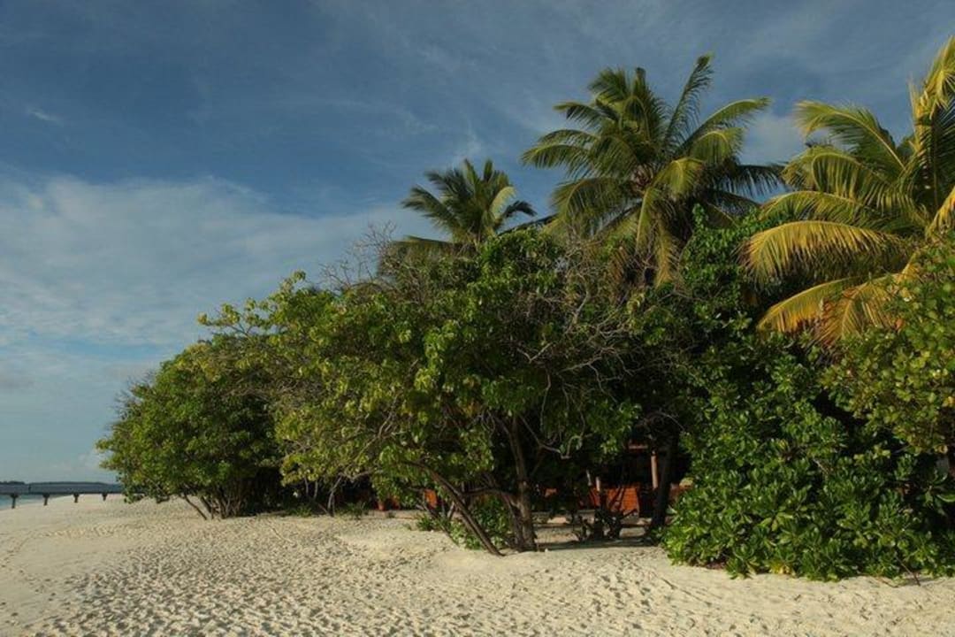 Strandabschnitt NH Collection Maldives Reethi Resort