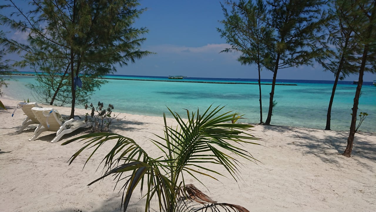 Strand Summer Island Maldives