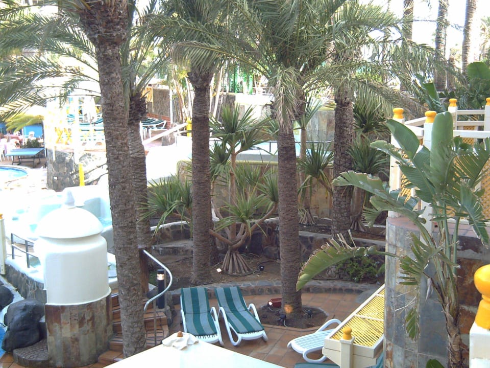 Liegen Abora Buenaventura by Lopesan Hotels