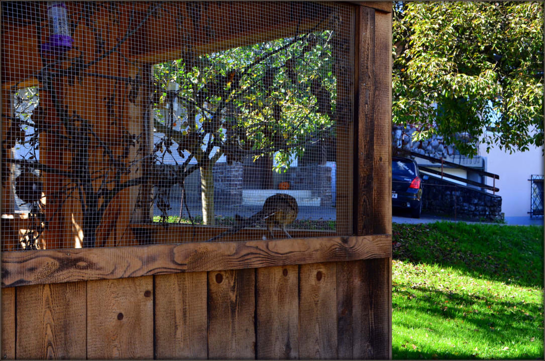 Fasane Hotel Kohlerhof
