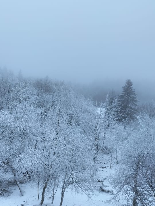 Ausblick Hotel Lugsteinhof