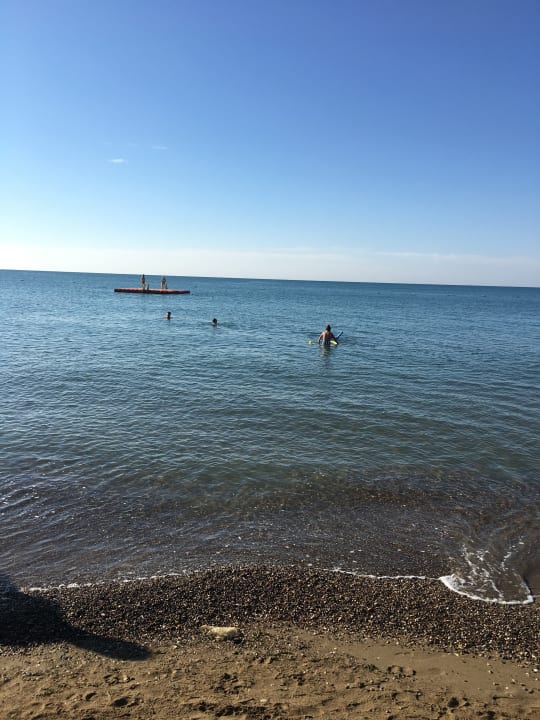 Strand Papillon Belvil