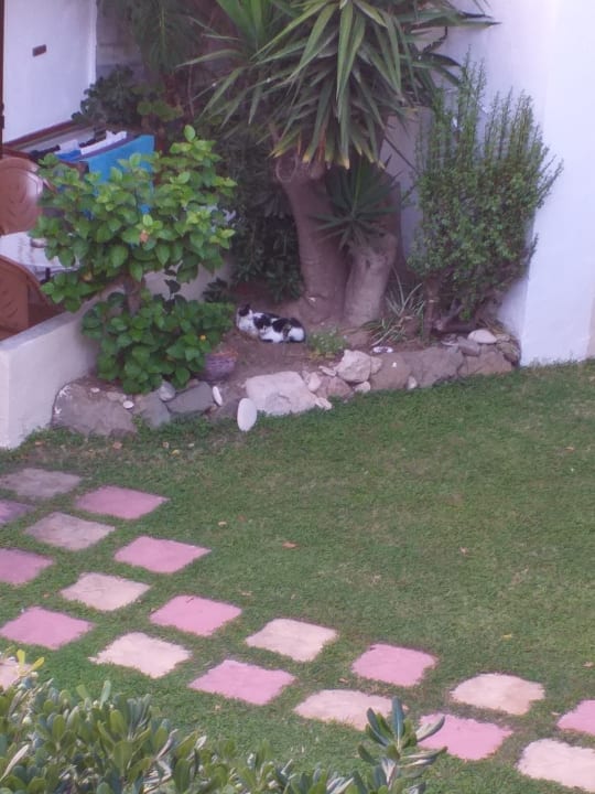 Garten Gaia Garden Hotel