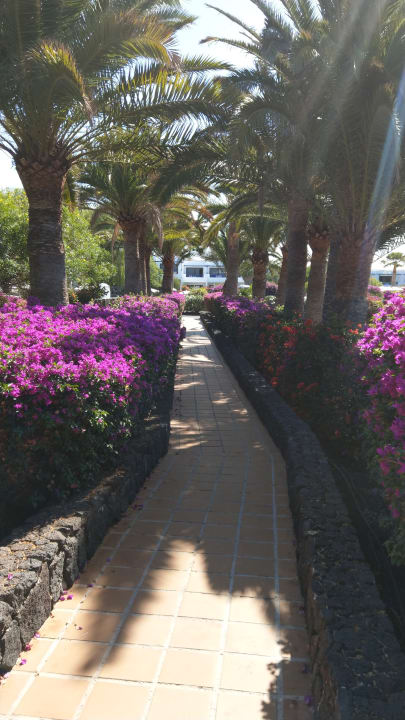 Gartenanlage Relaxia Olivina