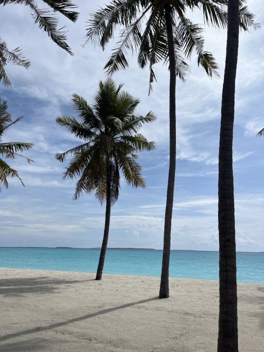 Strand Hondaafushi Island Resort