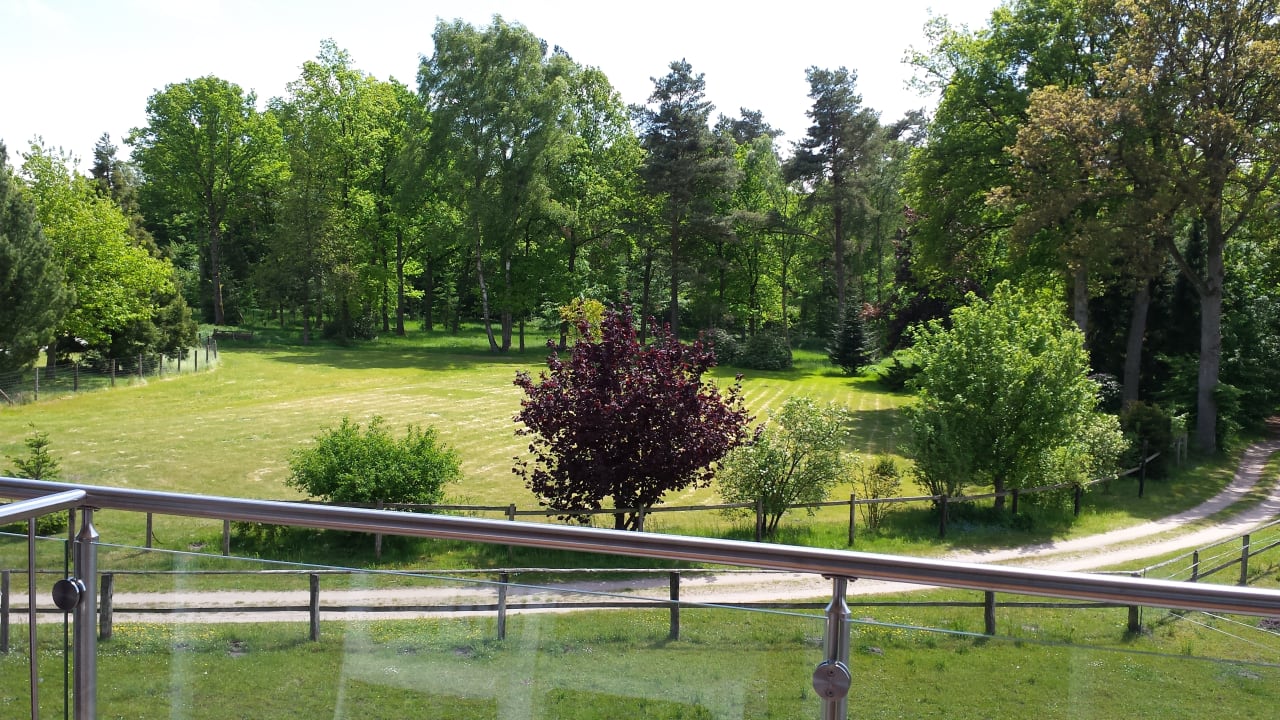 Ausblick Dat lütte Heidehotel