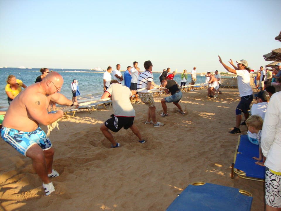 Олимпиада Jaz Makadi Saraya Resort