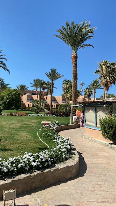 Gartenanlage Club Paradisio El Gouna, Red Sea