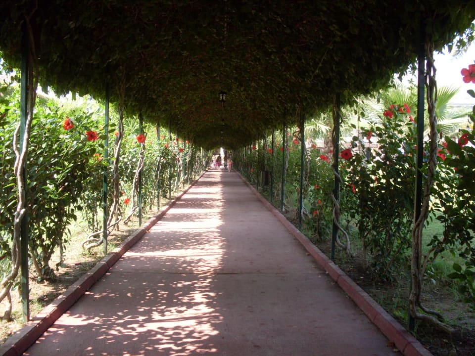 Weg zum Strand Hotel Turan Prince