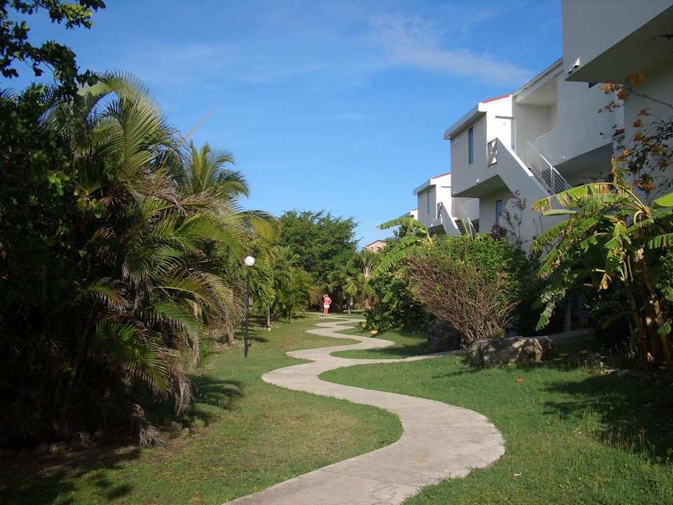 Gartenanlage Hotel Coconut Beach Club