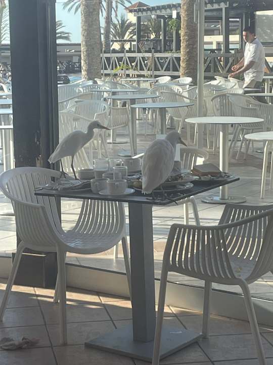 Gastro Occidental Jandía Mar