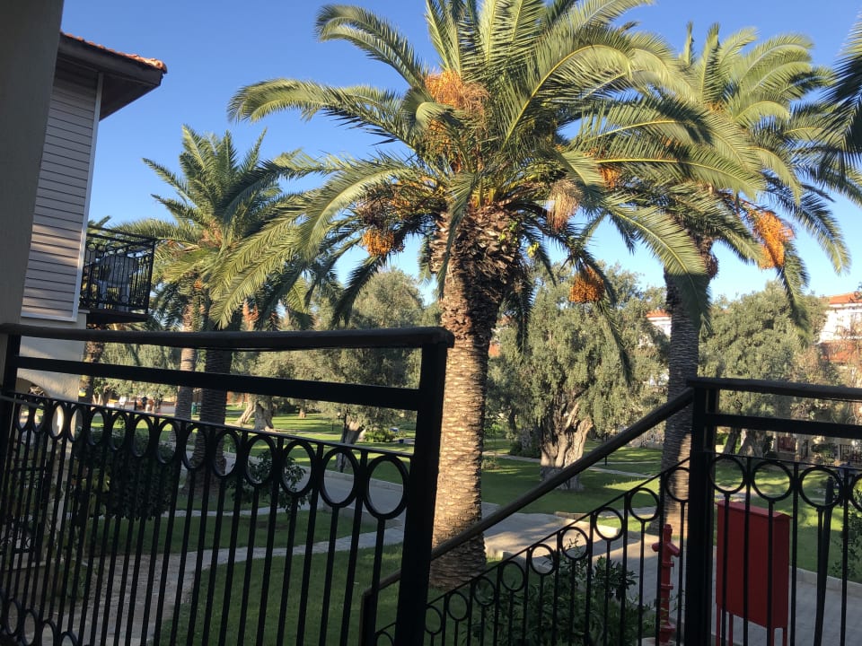 Zimmer Club Resort Atlantis