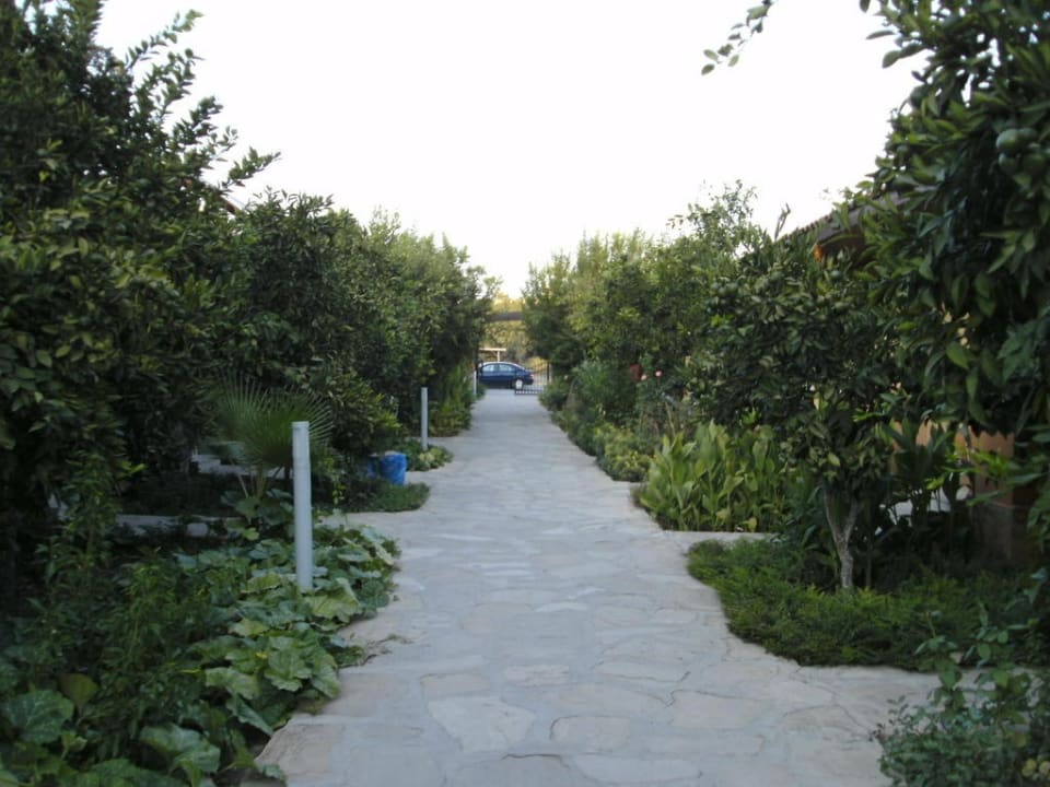 Links und rechts geht es jeweils zu den Bungalows Özlem Garden Hotel