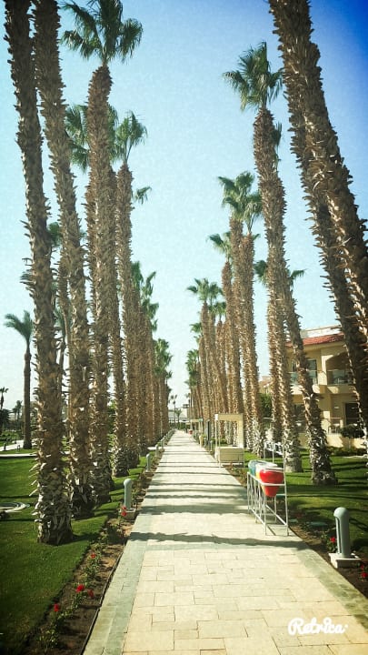 Gartenanlage Beach Albatros Resort