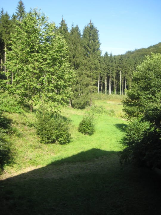 Gartenanlage Hotel Hüttenmühle