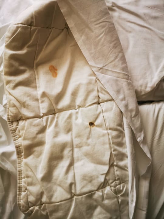 Zimmer AHORN Hotel Am Fichtelberg