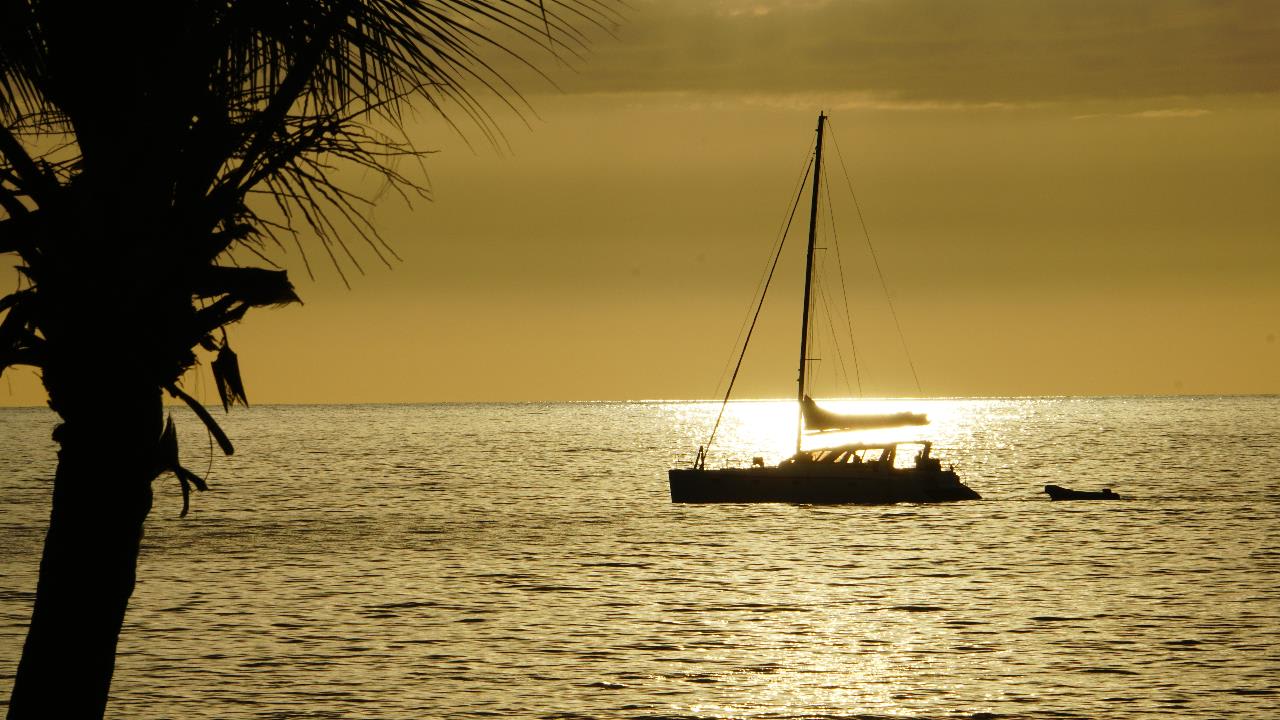 Ausblick The Westin Turtle Bay Resort & Spa