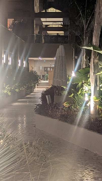 Gartenanlage TUI BLUE Xanthe