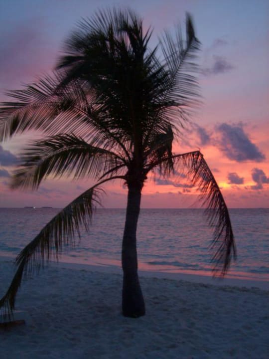 atemberaubend... Thulhagiri Island Resort