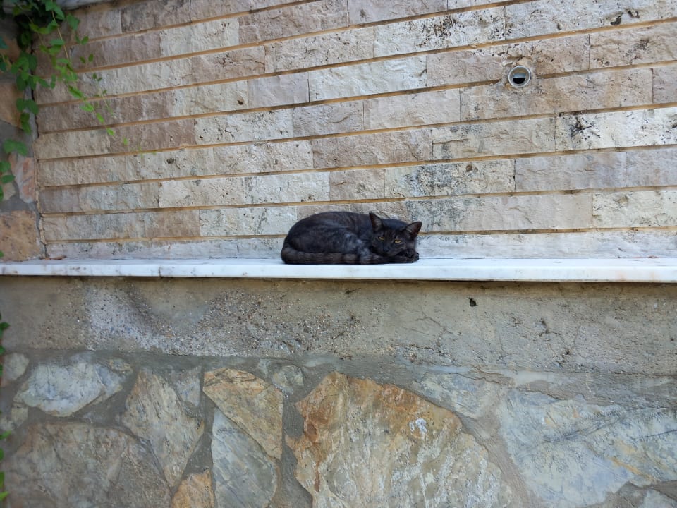 Sport & Freizeit TUI BLUE Xanthe