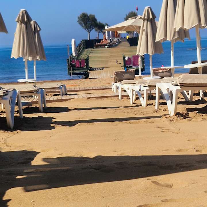 Strand Arum Barut Collection