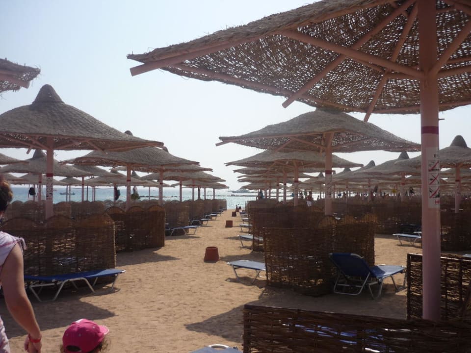 Strand und Liegeflächen vom Hotel  Jaz Makadi Oasis Resort