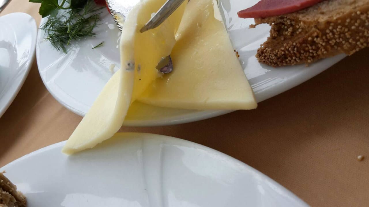 Schimmel am Käse Palm Wings Kusadasi Beach Resort & Spa