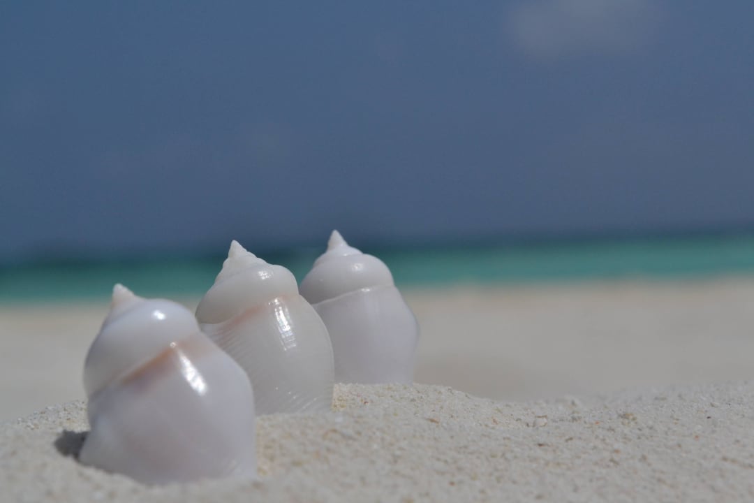 Strandmotiv Summer Island Maldives