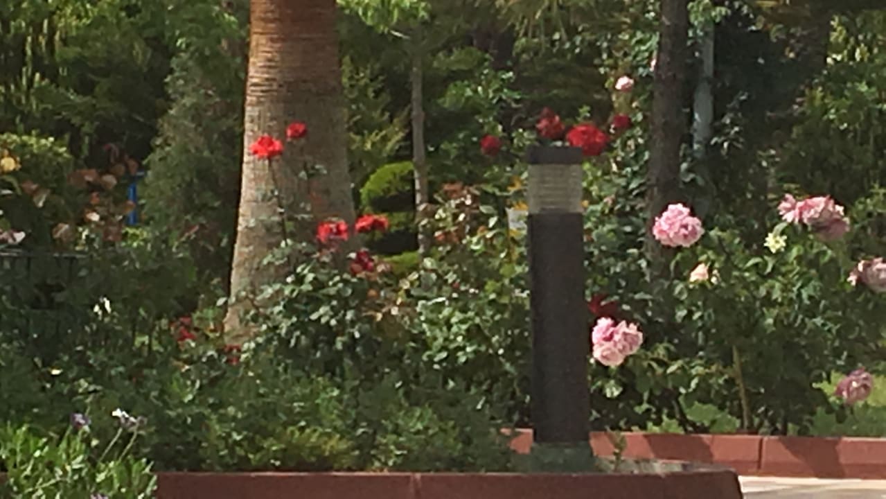 Gartenanlage Saphir Resort & Spa